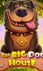 The Big Dog House